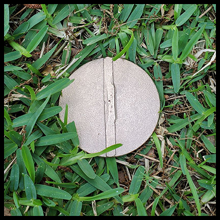 Low Profile Brass Survey Stakes - 2-Pack
