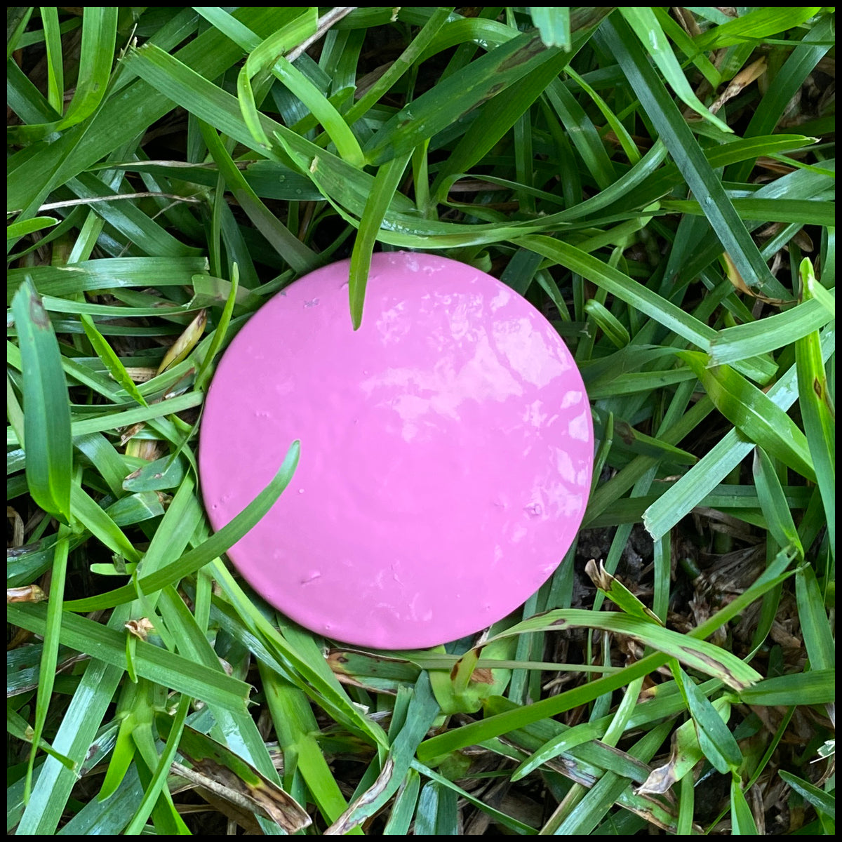 Low Profile Survey Stakes - Hi-Vis Pink - 4 Pack