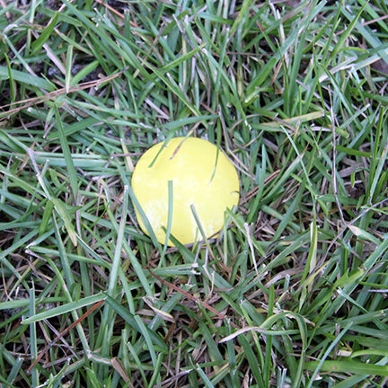 Low Profile Survey Stakes - Hi-Vis Yellow - 4 Pack