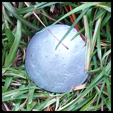 Low Profile Survey Stakes & Survey Markers - Plain- 12 Pack